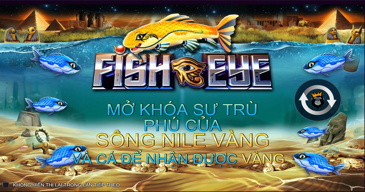  Fish Eye